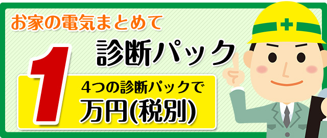 お家の電気まとめて診断パック